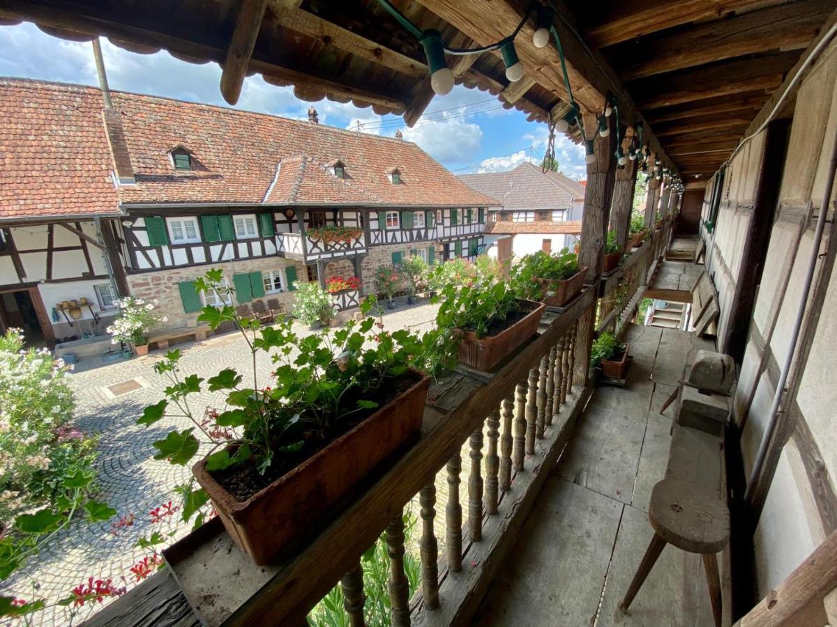 Chambres D'Hotes De Charme A La Ferme Freysz Quatzenheim Dış mekan fotoğraf