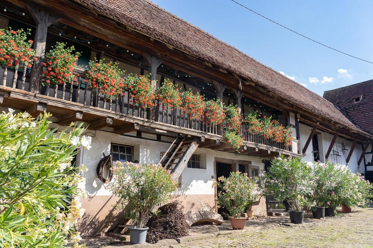 Chambres D'Hotes De Charme A La Ferme Freysz Quatzenheim Dış mekan fotoğraf