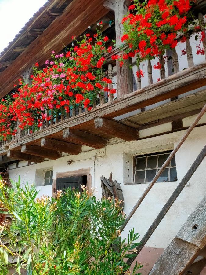 Chambres D'Hotes De Charme A La Ferme Freysz Quatzenheim Dış mekan fotoğraf